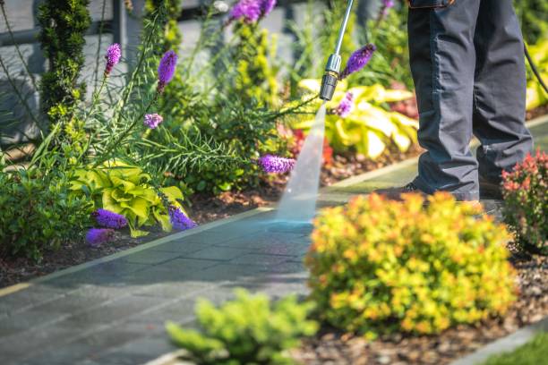 Professional Pressure Washing Services in Sand Ridge, NY