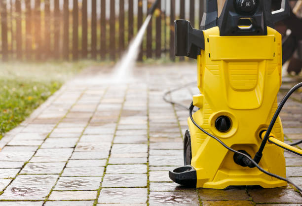 Animal Enclosure Cleaning in Sand Ridge, NY